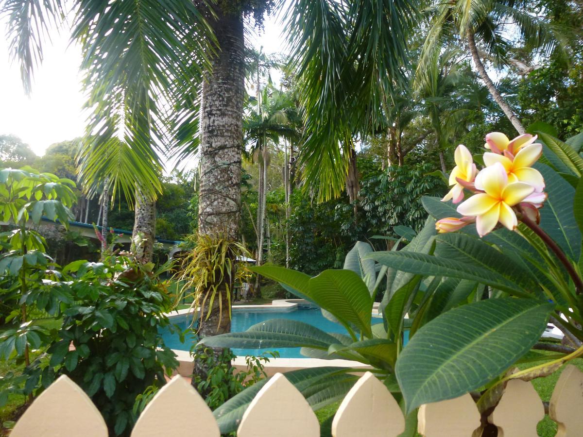 Villa Marine Holiday Apartments Cairns Yorkeys Knob Bagian luar foto